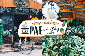 ร้านกาแฟน่ารัก PAE cactus cafe ณ ย่านเมืองเก่าสงขลา